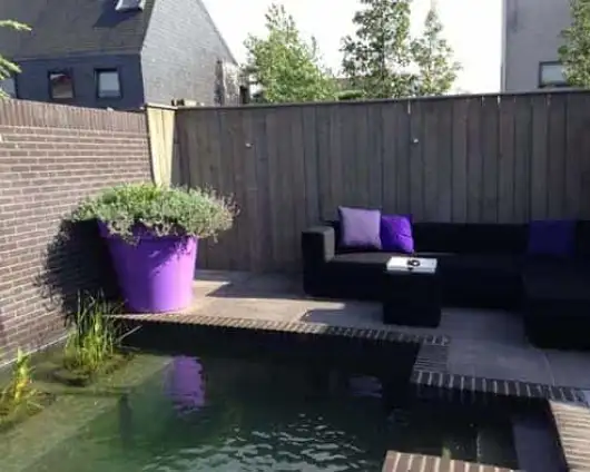 images/043baxzwemvijver/moderne-tuin-aanleggen-Tilburg-Eindhoven-Breda-Den-bosch-530x424-a82