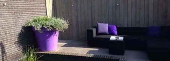 images/043baxzwemvijver/moderne-tuin-aanleggen-Tilburg-Eindhoven-Breda-Den-bosch-550x197-e1d