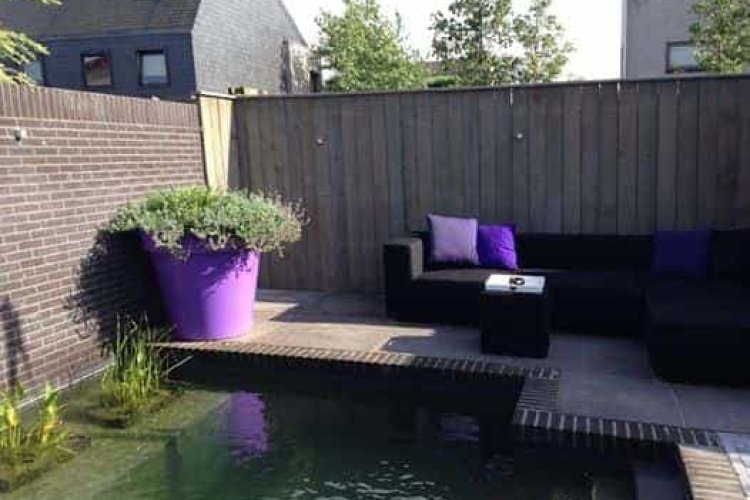 images/043baxzwemvijver/moderne-tuin-aanleggen-Tilburg-Eindhoven-Breda-Den-bosch-750x500-27c