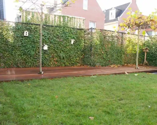 images/043baxzwemvijver/vlonder plaatsen Breda Vught Waalwijk-530x424-a4d