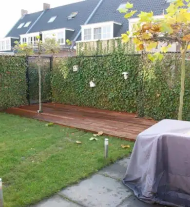 images/043baxzwemvijver/vlonder plaatsen Tilburg-390x424-e51