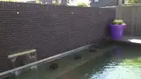 images/043baxzwemvijver/zwemvijver-maken-160x90-f53