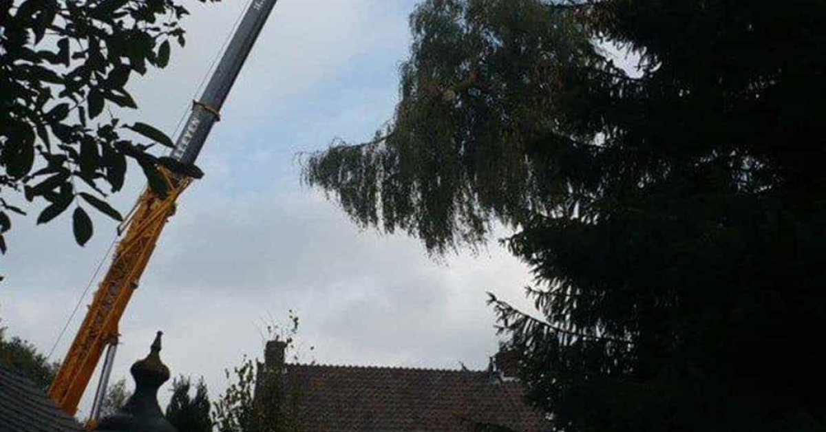 images/2 a rooien van bomen in tilburg goirle berk enschot drunen waalwijk-1200x628-805