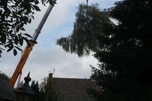 opruimen groenafval biomasse houtchips houtsnippers bomen kappen vellen rooien en knotten alblasserdam ommeren zundert ravenstein houten storm schade aan bomen wij ruim het op voor u