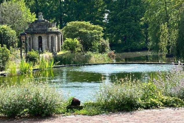aanleggen tuin met zwemvijver, sierstraatwerk en wilde bloemen mengsel