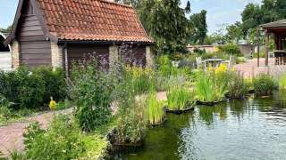 aanleggen tuin met zwemvijver, sierstraatwerk en wilde bloemen mengsel