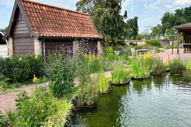 aanleggen tuin met zwemvijver, sierstraatwerk en wilde bloemen mengsel