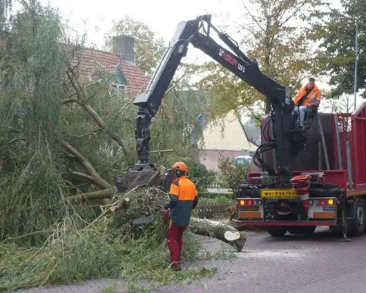 images/3 a rooien en slopen van bomen uit de achtertuin in tilburg chaam esbeek hilvarenbeek-530x424-4bb
