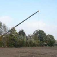 images/4 a rooien van dennen bomen coniferen berken bomen in tilburg eindhoven best waalwijk breda vught den bosch-200x200-65e