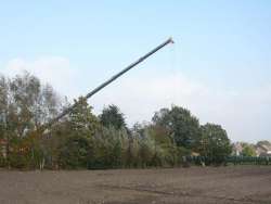 Bomen kappen Ulvenhout