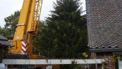 rooien van kerstbomen in chaam. opstellen van een telescoopkraan op een oprit.