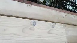 images/5 hardhouten afdeklat op een dichte schutting tuinafscheiding. eersel esbeek hilvarenbeek oirschot moergestel-257x145-2ef