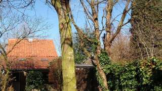 images/P3190487-320x180-91c
