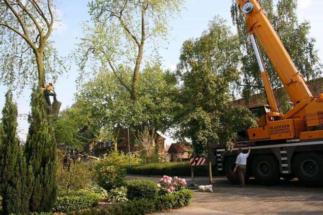 slopen afbreken van bomen met een telescoopkraan