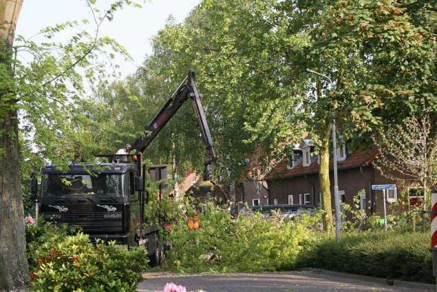 bomen rooien 's-Heerenbroek