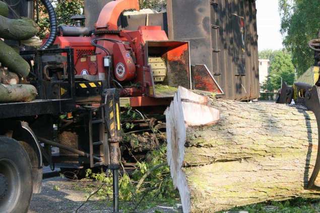 afvoeren van dikhout in boxtel