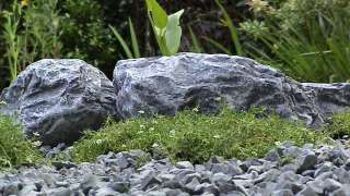 sagina subulate met basalt keien en split, op de achter grond snoekkruid