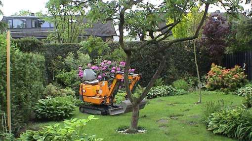 Mooie losse vormen in de tuin