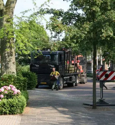 images/bomen rooien/boom boxtel/1 bomen rooien bomen kappen bomen snoeien bomen vellen bomen snoeien vught Breda-390x424-737