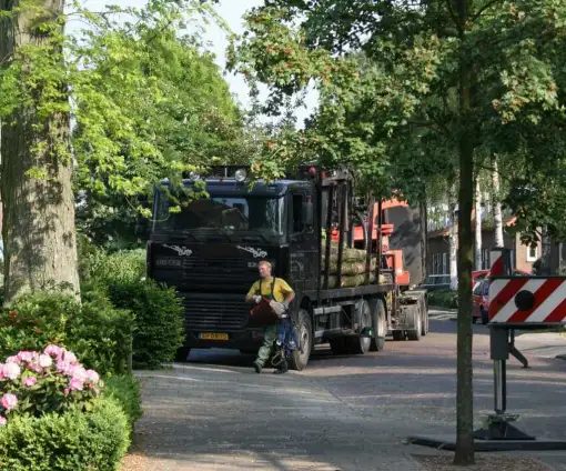 images/bomen rooien/boom boxtel/1 bomen rooien bomen kappen bomen snoeien bomen vellen bomen snoeien vught Breda-510x424-9ef