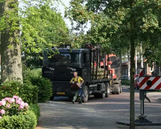 images/bomen rooien/boom boxtel/1 bomen rooien bomen kappen bomen snoeien bomen vellen bomen snoeien vught Breda-530x424-63a
