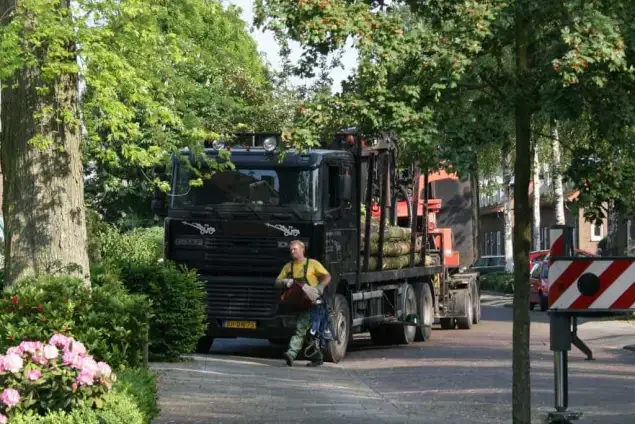images/bomen rooien/boom boxtel/1 bomen rooien bomen kappen bomen snoeien bomen vellen bomen snoeien vught Breda-635x424-18c