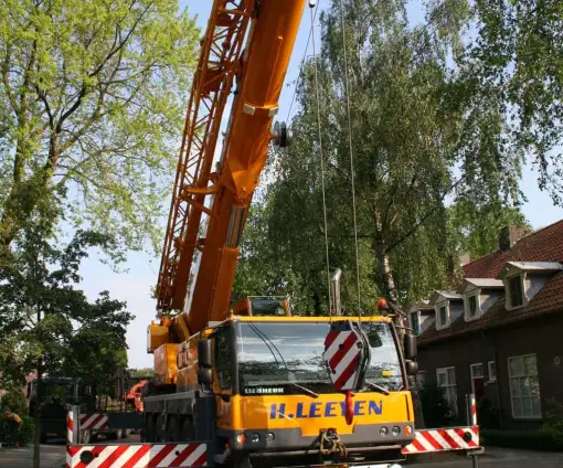 images/bomen rooien/boom boxtel/2 bomen rooien bomen kappen bomen snoeien bomen vellen Boxtel Oosterhout-510x424-9ef