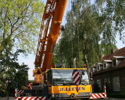 images/bomen rooien/boom boxtel/2 bomen rooien bomen kappen bomen snoeien bomen vellen Boxtel Oosterhout-530x424-63a