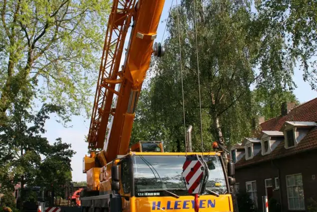 images/bomen rooien/boom boxtel/2 bomen rooien bomen kappen bomen snoeien bomen vellen Boxtel Oosterhout-635x424-18c