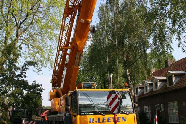 images/bomen rooien/boom boxtel/2 bomen rooien bomen kappen bomen snoeien bomen vellen Boxtel Oosterhout-635x424-5fe