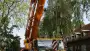 images/bomen rooien/boom boxtel/2 bomen rooien bomen kappen bomen snoeien bomen vellen Boxtel Oosterhout-90x51-f76