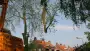 images/bomen rooien/boom boxtel/27 bomen rooien bomen kappen bomen snoeien Zwarte Paard Zwarte goor Zwarte broek Zuuk Zutphen-90x51-f76