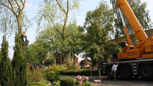 images/bomen rooien/boom boxtel/31 bomen rooien bomen kappen bomen snoeien bomen vellen Worsum Woezik Winterswijk Winssen Winkelshoek Wilp Wezep Wezel Weurt -510x287-4e3