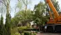 images/bomen rooien/boom boxtel/31 bomen rooien bomen kappen bomen snoeien bomen vellen Worsum Woezik Winterswijk Winssen Winkelshoek Wilp Wezep Wezel Weurt -90x51-f76