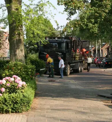 images/bomen rooien/boom boxtel/4 bomen rooien bomen kappen bomen snoeien bomen vellen hovenier Bladel Geldr-Mierlo Deurne-390x424-737