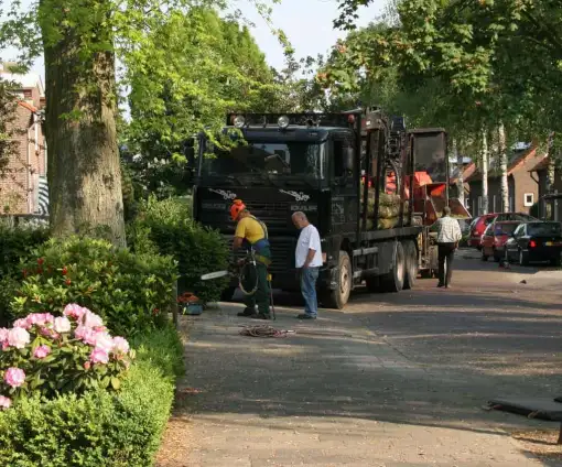 images/bomen rooien/boom boxtel/4 bomen rooien bomen kappen bomen snoeien bomen vellen hovenier Bladel Geldr-Mierlo Deurne-510x424-9ef