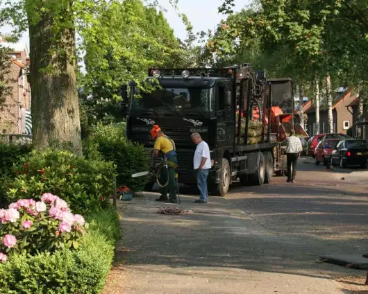 images/bomen rooien/boom boxtel/4 bomen rooien bomen kappen bomen snoeien bomen vellen hovenier Bladel Geldr-Mierlo Deurne-530x424-63a