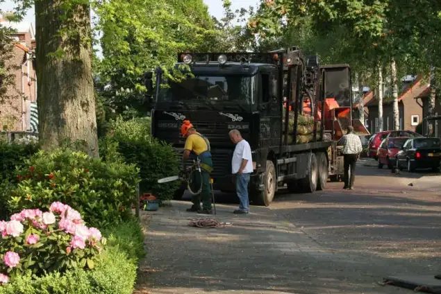 images/bomen rooien/boom boxtel/4 bomen rooien bomen kappen bomen snoeien bomen vellen hovenier Bladel Geldr-Mierlo Deurne-635x424-18c