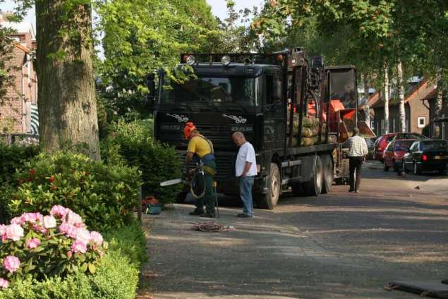 images/bomen rooien/boom boxtel/4 bomen rooien bomen kappen bomen snoeien bomen vellen hovenier Bladel Geldr-Mierlo Deurne-635x424-5fe