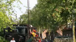 images/bomen rooien/boom boxtel/5 bomen rooien bomen snoeien bomen vellen bomen kappen uden Best-257x145-b24