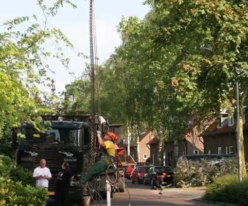 images/bomen rooien/boom boxtel/5 bomen rooien bomen snoeien bomen vellen bomen kappen uden Best-510x424-9ef