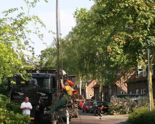 images/bomen rooien/boom boxtel/5 bomen rooien bomen snoeien bomen vellen bomen kappen uden Best-530x424-63a