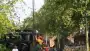 images/bomen rooien/boom boxtel/5 bomen rooien bomen snoeien bomen vellen bomen kappen uden Best-90x51-f76