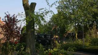 images/bomen rooien/boom boxtel/IMG_5057-320x180-769
