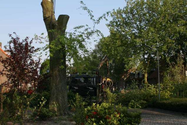images/bomen rooien/boom boxtel/IMG_5057-635x424-5fe