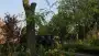 images/bomen rooien/boom boxtel/IMG_5057-90x51-f76