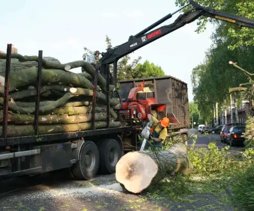 images/bomen rooien/boom boxtel/IMG_5103-510x424-9ef