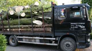 images/bomen rooien/boom boxtel/IMG_5113-320x180-769