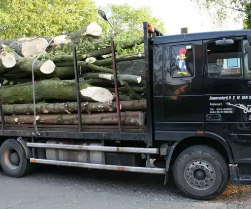 images/bomen rooien/boom boxtel/IMG_5113-510x424-9ef
