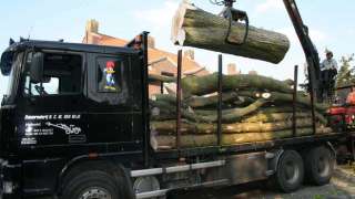 images/bomen rooien/boom boxtel/www.avanspeldehoveniers.nl1-320x180-769